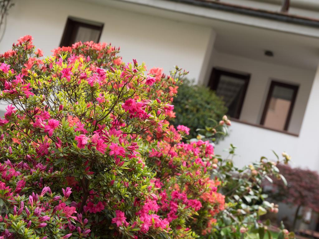 Casa Vacanze Boario Boario Terme Exterior foto